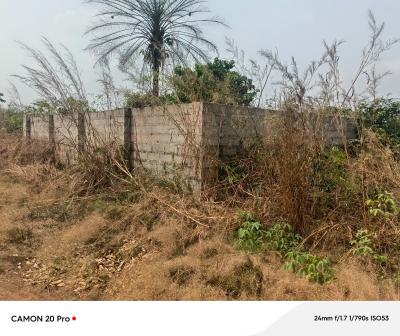 One Full Plot of Land with Fenced Advantage, Avu By The, Missionary School Close to White House, Owerri Municipal, Imo, Residential Land for Sale