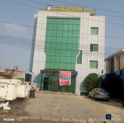 Prime Commercial Space, Adeola Odeku, Victoria Island (vi), Lagos, Office Space for Rent