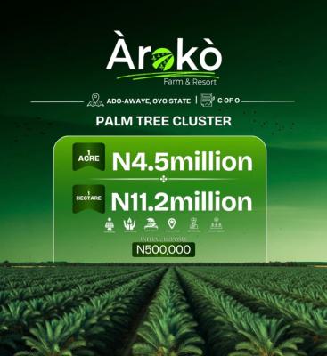 Palm Tree Cluster, Aroko Farm Ado Awaye, Ibadan, Oyo, Commercial Land for Sale
