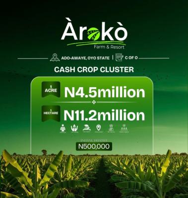 Cash Crop Cluster, Aroko Farm Ado Awaye, Ibadan, Oyo, Commercial Land for Sale