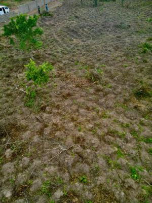 Most Profitable Farm Land of The Day, Alabata , Buy 5 Plots Get 1 Plot Free and We Can Also Farm for You, Abeokuta North, Ogun, Commercial Land for Sale