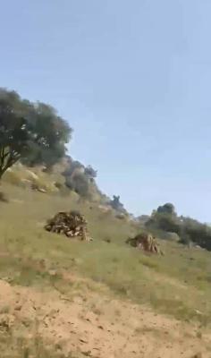 Estate Lands Available in Katampe Extension, 200sqm to 500sqm, Behind Zeberced, Katampe Extension, Katampe, Abuja, Residential Land for Sale