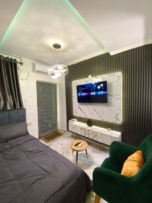 a Fully Furnished a Room Self Contain Apartment, Ladilak, Yaba, Lagos, Self Contain (single Rooms) for Rent