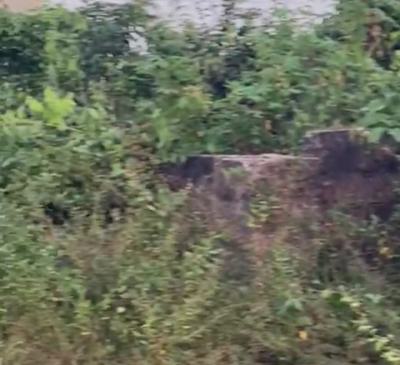 100ft By 200ft Land Title: C of O, 1st Obe Community, Off Sapele Road, Benin, Oredo, Edo, Land for Sale