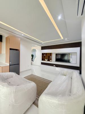 Furnished 2 Bedroom Apartment, Ikate, Lekki, Lagos, House for Sale