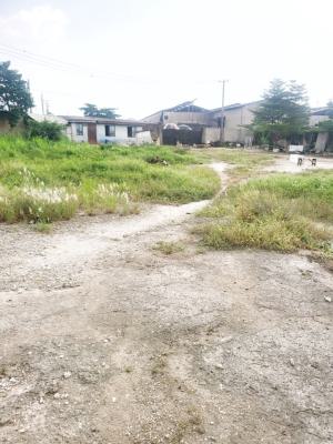 a Land, Agege, Lagos, Mixed-use Land for Sale