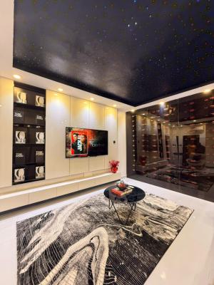 1 Bedroom Apartment, Chevron Drive, Lekki, Lagos, Mini Flat (room and Parlour) Short Let