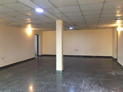 Newly Renovated 3 Bedrooms Flat with Bq, Off Oyedele Oguniyi, Anthony, Maryland, Lagos, Flat / Apartment for Rent