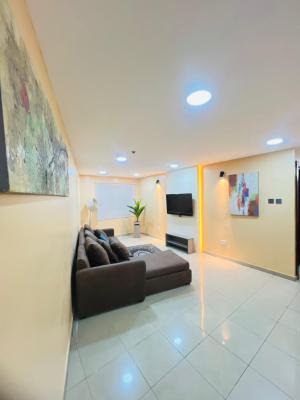 Standard Service Furnished Mini Flat, 1004 Estate, Victoria Island (vi), Lagos, Flat / Apartment for Rent