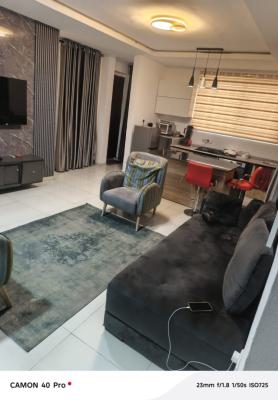 1 Bedroom Furnished Flat, Off Awolowo Road, Ikoyi, Lagos, Mini Flat (room and Parlour) for Rent