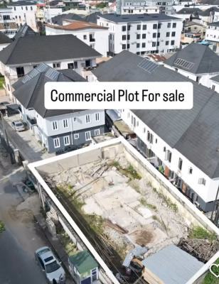 380sqm Commercial Bareland, Chevron, Lekki, Lagos, Commercial Land for Sale