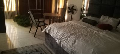 Mimi Flat, Off Adminraly Way, Lekki, Lagos, Mini Flat (room and Parlour) for Rent