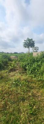 35 Acres of Dry Land with High Court Judgment, Idoleyin, Agbara-igbesa, Lagos, Mixed-use Land for Sale