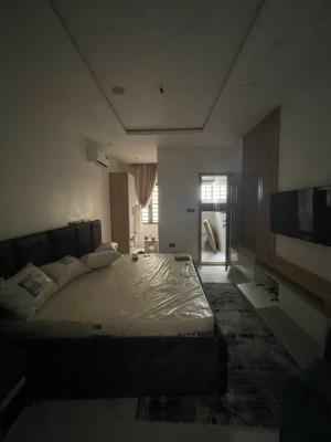 Luxury 2 Bedroom Apartment with Excellent Facility, Ikate, Lekki, Lagos, Flat / Apartment for Rent