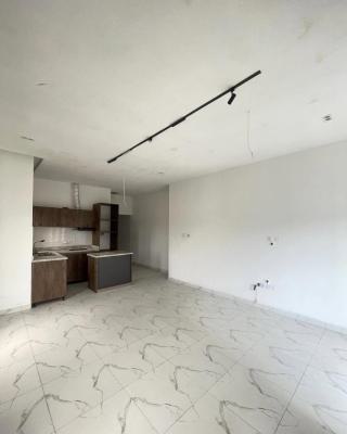 Luxury 2 Bedroom Apartment with Excellent Facility, Agungi, Lekki, Lagos, Flat / Apartment for Rent