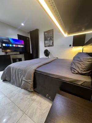 Fully Furnished and Serviced Studio Apartment, Gated and Secured Estate in V.i, Victoria Island (vi), Lagos, Self Contain (single Rooms) for Rent