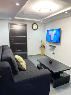 Well Equipped and Furnished 1 Bedroom Apartment, Shonibare Estate, Maryland, Lagos, Flat / Apartment Short Let