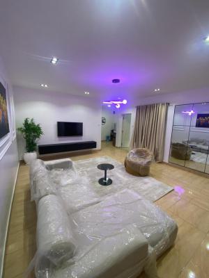 Luxury 2 Bedroom Flat, Wuse 2, Abuja, Flat / Apartment for Rent