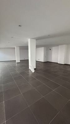 Commercial Shop Spaces  -- Serviced Mall, Lekki Phase1, Lekki Phase 1, Lekki, Lagos, Plaza / Complex / Mall for Rent