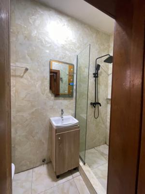 a Luxury Fully Serviced 3 Bedroom Terraced Duplex with Great Facilities, Ikate, Lekki, Lagos, Terraced Duplex for Rent