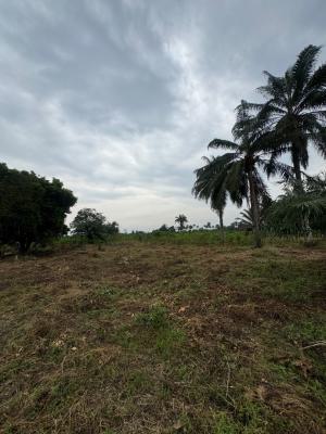 Dry Land, Ogun State Close to Tollgate, Epe, Lagos, Mixed-use Land for Sale