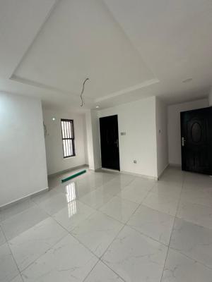 Newly Renovated 3 Bedroom Apartment with Excellent Facilities, Ikate,lekki, Lekki, Lagos, Flat / Apartment for Rent