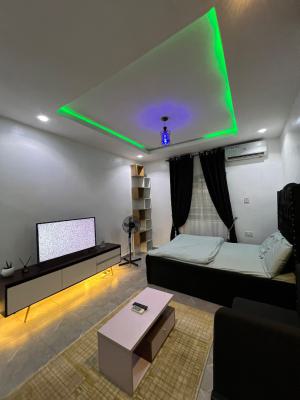Well Furnished Studio Apartment for Monthly Stay, Jibowu, Yaba, Lagos, Self Contain (single Rooms) for Rent