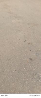 a Full Plot of Land in a Good Location, Lekki Ajah Lagos, Ajah, Lagos, Commercial Land for Sale