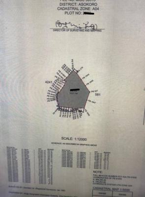 1 Hectare, Asokoro District, Abuja, Residential Land for Sale