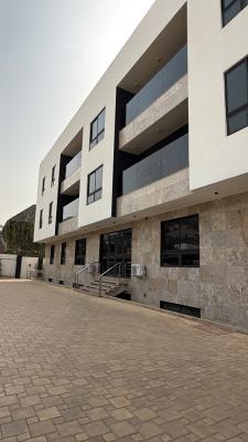 Luxury Serviced 3-bedroom Flat with Bq & Very Private Place, Asokoro Main, Asokoro District, Abuja, Flat / Apartment for Rent