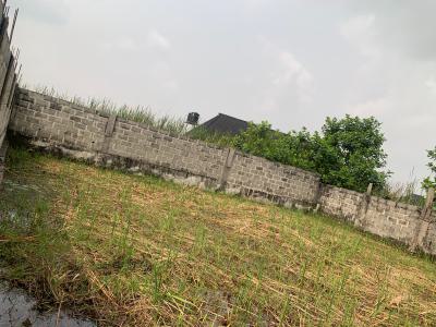 Half Plot with Governors Consent, Abijo, Flourish Estate, Ajah, Lagos, Mixed-use Land for Sale