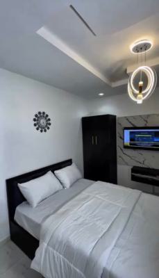 a Fully Furnished Studio Apartment with Fridge, Bed, Tv and Others, Fola Agoro, Yaba, Lagos, Self Contain (single Rooms) for Rent