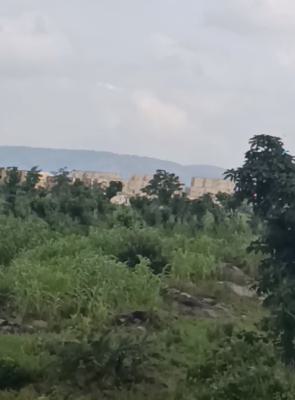 Buildable 1 Hectare of Residential Plot, Karsana, Abuja, Residential Land for Sale