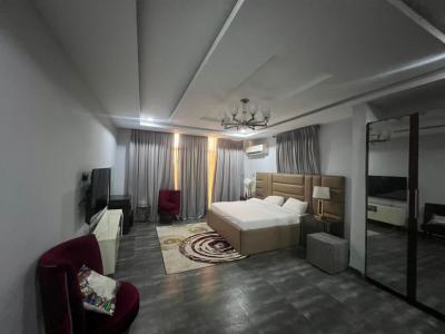 Furnished Serviced 5 Bedroom Duplex with Bq, Ikoyi, Lagos, Detached Duplex for Rent