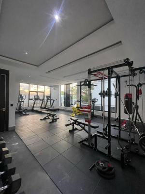 4bedroom Terrace Duplex with a Bq, Ikoyi Lagos, Ikoyi, Lagos, Terraced Duplex for Rent