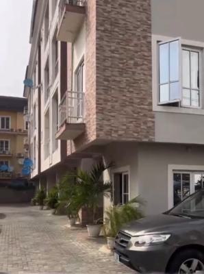Spacious Well Maintained 3 Bedroom Apartment + Bq, Lekki Phase 1, Lekki, Lagos, Flat / Apartment for Sale