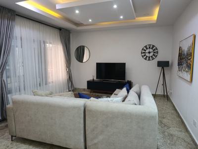 Luxurious and Beautiful 2 Bedroom Apartment, Garki, Abuja, Flat / Apartment for Rent