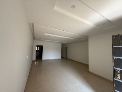 Spacious and Well Finished 3bedroom Apartment, Durumi, Abuja, Flat / Apartment for Rent