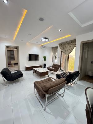 Furnished 2bed Apartment with Elevator, Lekki Phase 1, Lekki, Lagos, Flat / Apartment for Rent