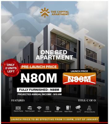 Luxury Apartment 1bed in a  Serene Environment, Shobande, Akoka, Yaba, Lagos, Flat / Apartment for Sale