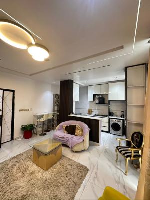 Fully Furnished 2 Bedroom Apartment, Off Freedom Way, Lekki Phase 1, Lekki, Lagos, Flat / Apartment for Rent