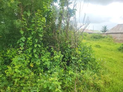 Strategically Located Land on Major Expressway., Sokoto Badagry Express Way, Ibara Orile/ Soyoye Road, Abeokuta North, Ogun, Mixed-use Land for Sale