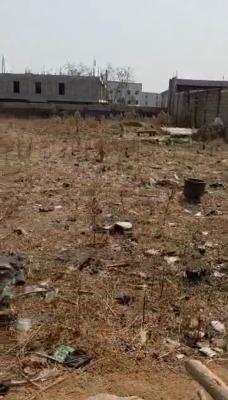 Residential Plot Measuring 1,674sqm in Mabuchi, Behind Mabushi Ultra Modern Market, Mabushi, Abuja, Residential Land for Sale