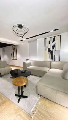 a Luxury Furnished One Bedroom with 24 Hours Electricity and Security, Yaba, Lagos, Mini Flat (room and Parlour) Short Let