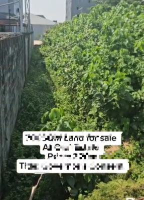 Land Measuring 700sqms in a Well Interlocking Secured Estate., Oral Estate, Lekki, Lagos, Residential Land for Sale