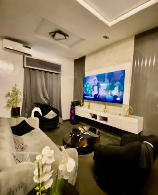 Elegant, Fully Furnished with a B Q and Pool, Divine Home Estate, Ajah, Lagos, Detached Duplex for Rent