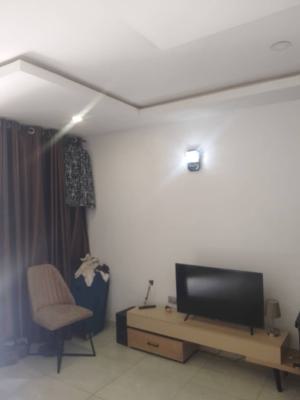 Excellent Spacious 1 Bedroom Apartment, Gwarinpa, Abuja, Flat / Apartment for Rent