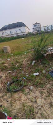 800sqm Land Facing The Express in Ologolo Road, Facing Express By Ologolo Bus Stop, Lekki, Lagos, Mixed-use Land for Sale