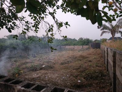 Distress Land in Premium Axis, Onishon Phase 2, Lakowe, Ibeju Lekki, Lagos, Land for Sale