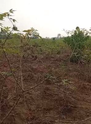 Dry 100 Plots of Land Close to The Road, Itu-ngwa, Aba, Abia, Mixed-use Land for Sale